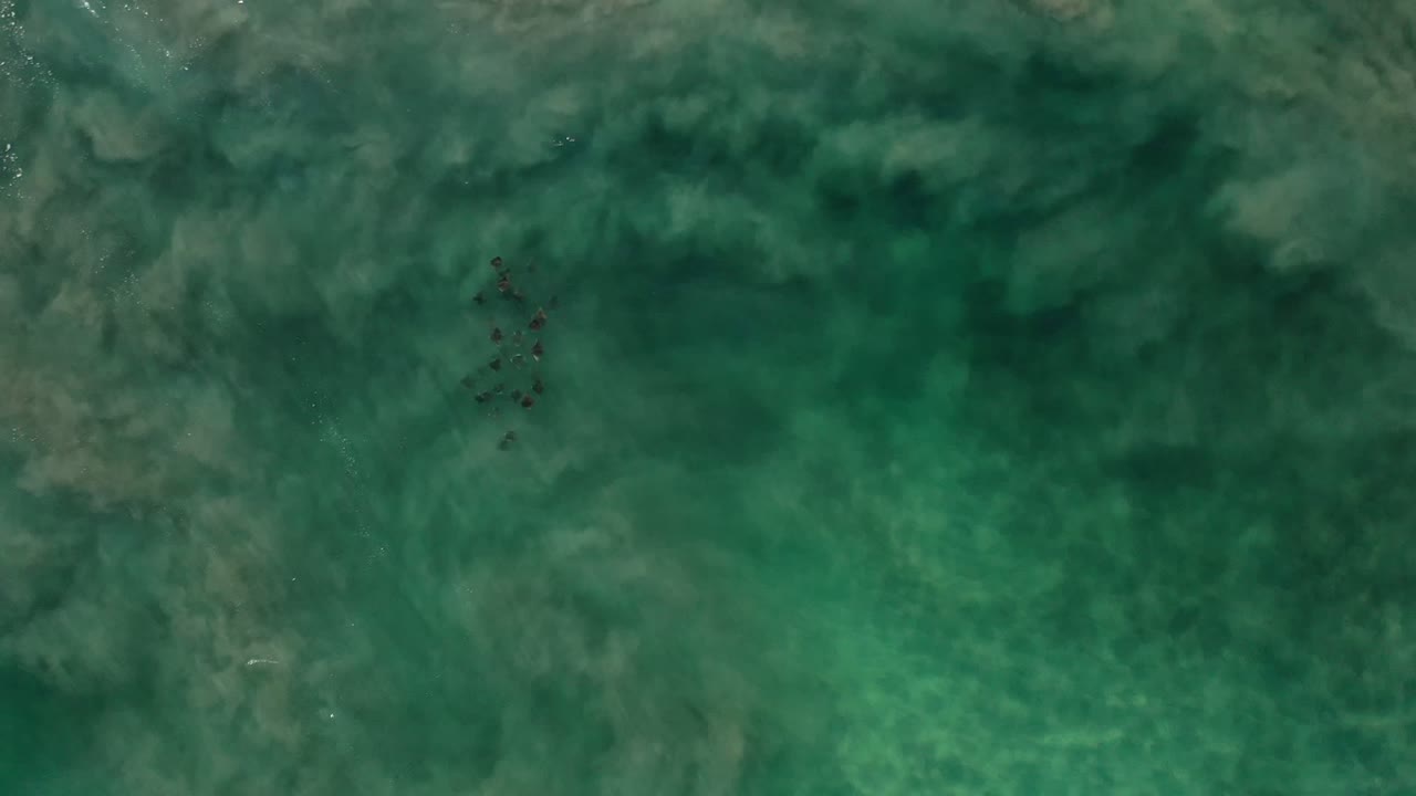 Aerial frame over Los Cabos green water with a dark cluster near the center, cloudy underwater color shifts, and no visible people.