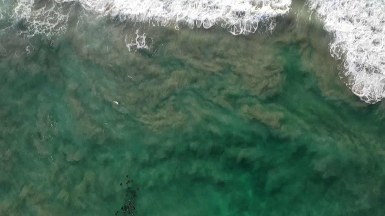 Overhead surf line above green-blue ocean water.