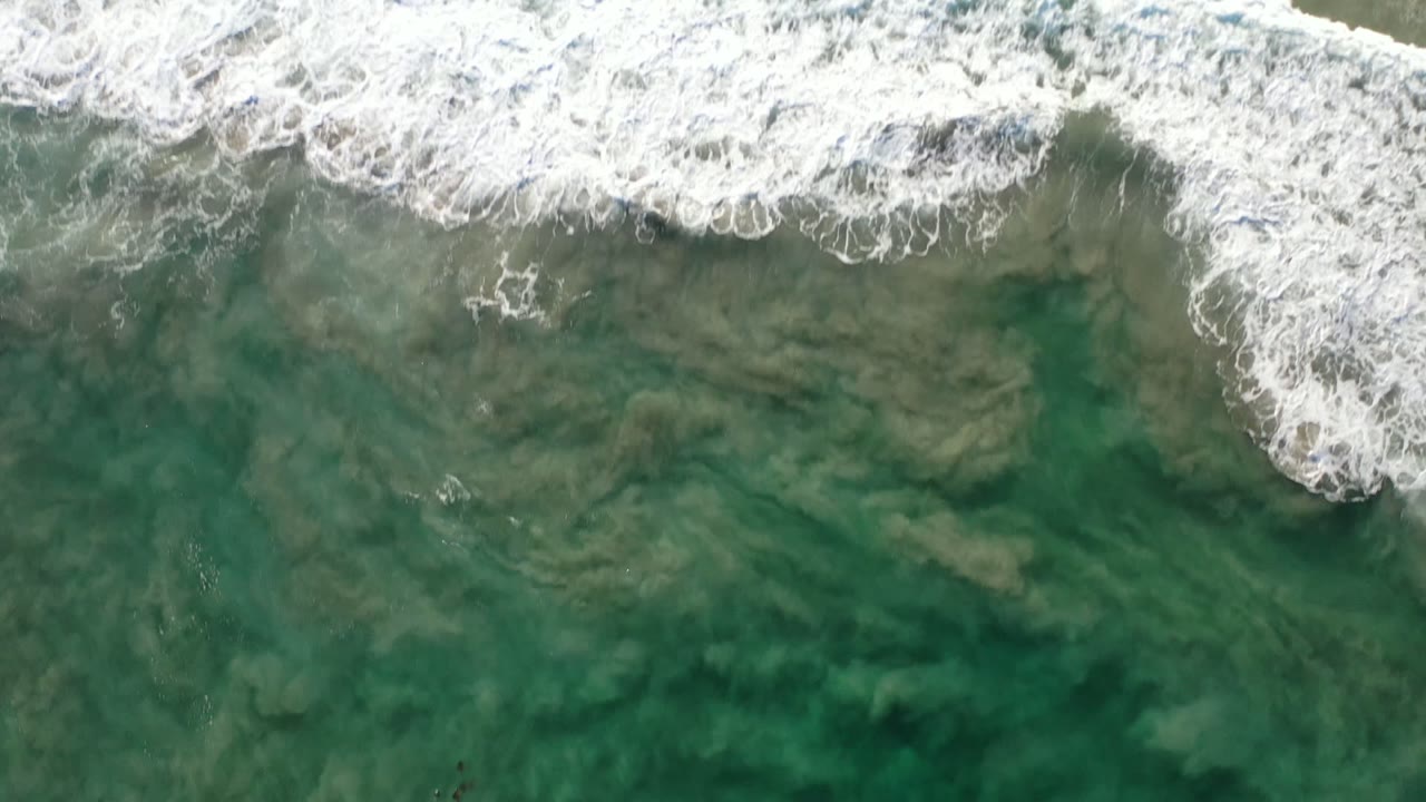 A foamy wave spreads diagonally across wet sand and green water on the Los Cabos coastline, with no visible people.