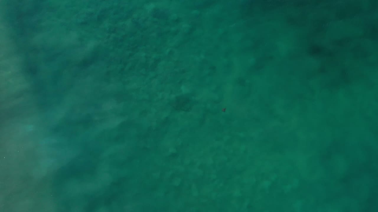 Green ocean surface in Los Cabos, Mexico, with faint pale streaks and darker areas under the water, with no visible people.