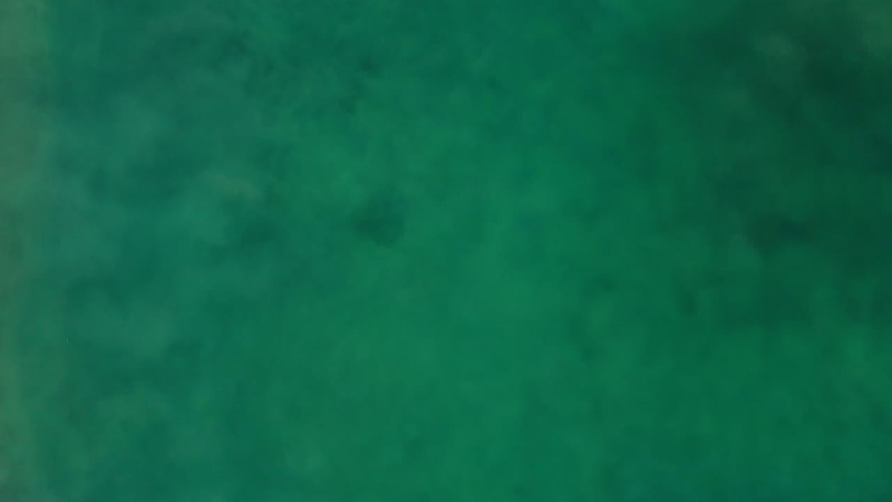 Top-down green-blue water surface with darker underwater patches.