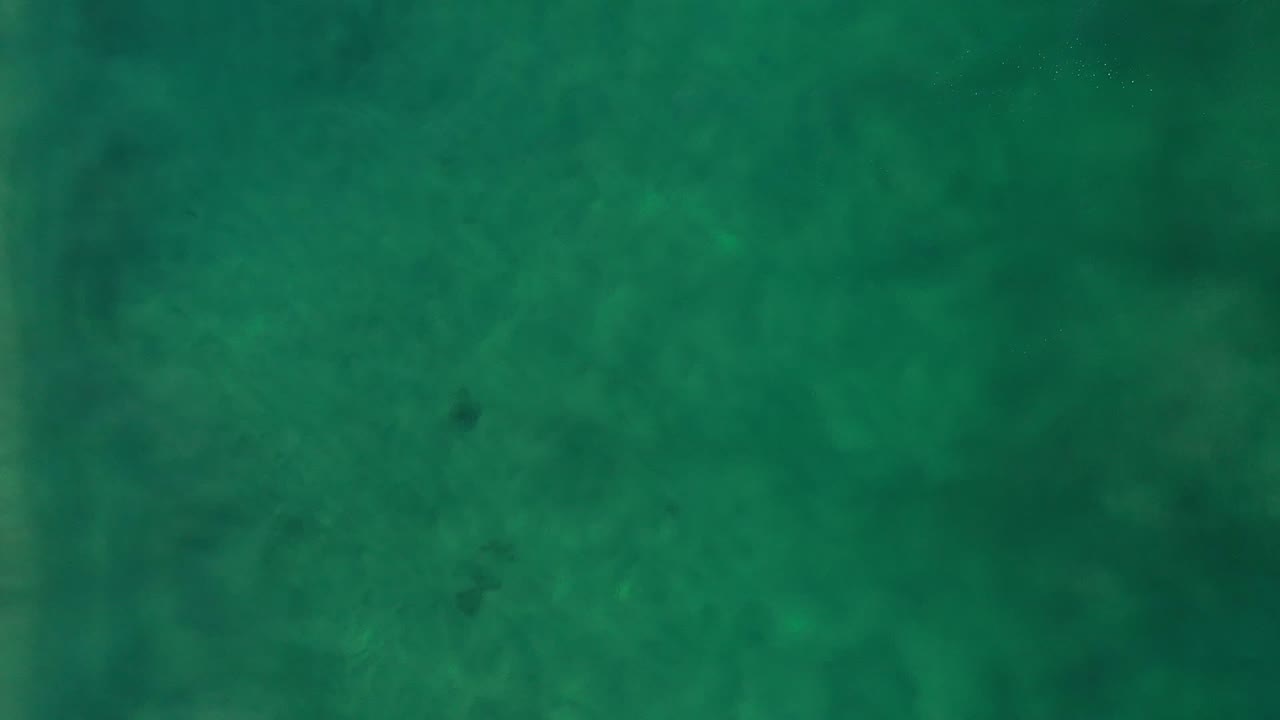 Top-down aerial frame of green ocean water in Los Cabos, Mexico, with mottled darker patches and no visible people.