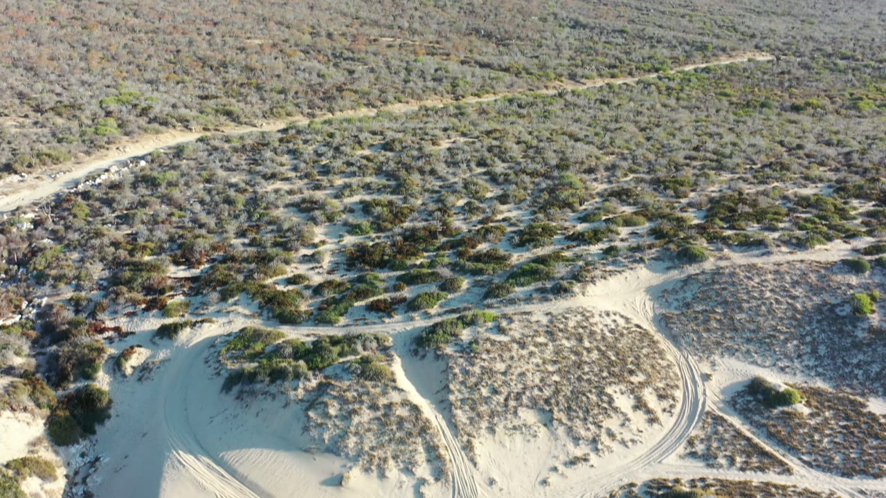 Aerial view of sandy dirt tracks through desert shrubs and low hills.