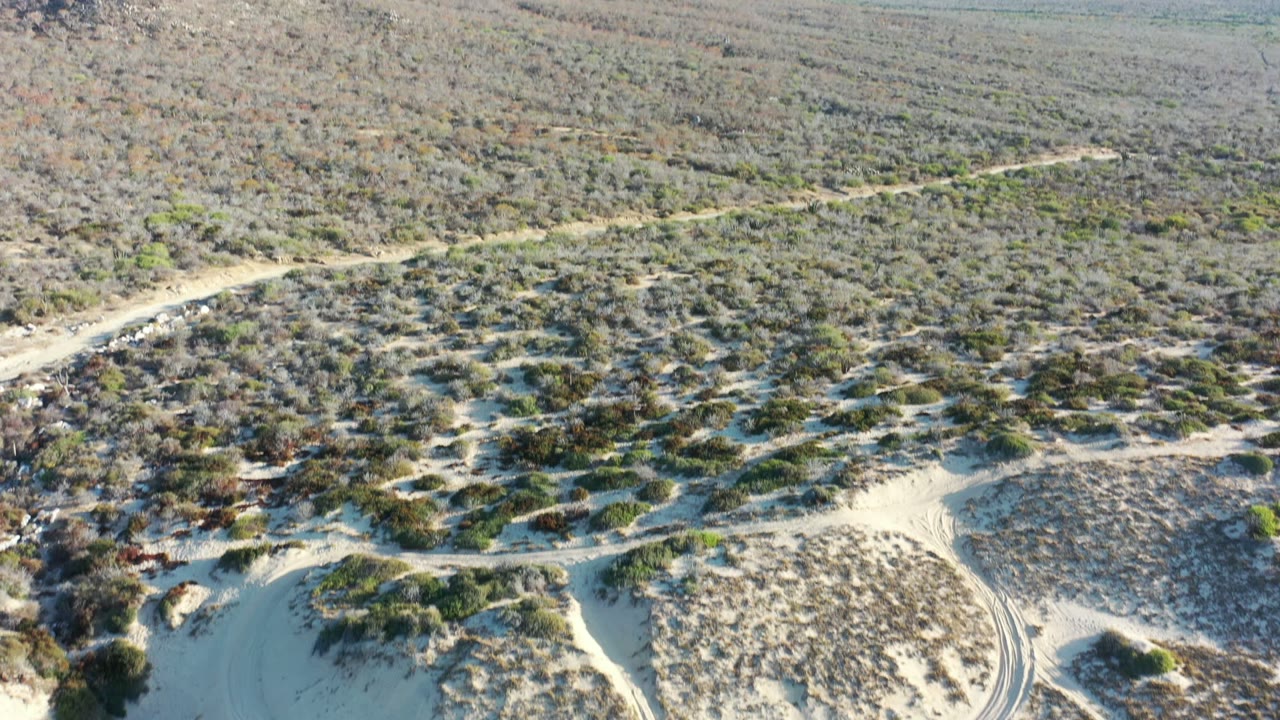 Aerial frame from Los Cabos, Mexico, with a pale dirt path running across scrub-covered desert below a rocky hillside, no visible people.