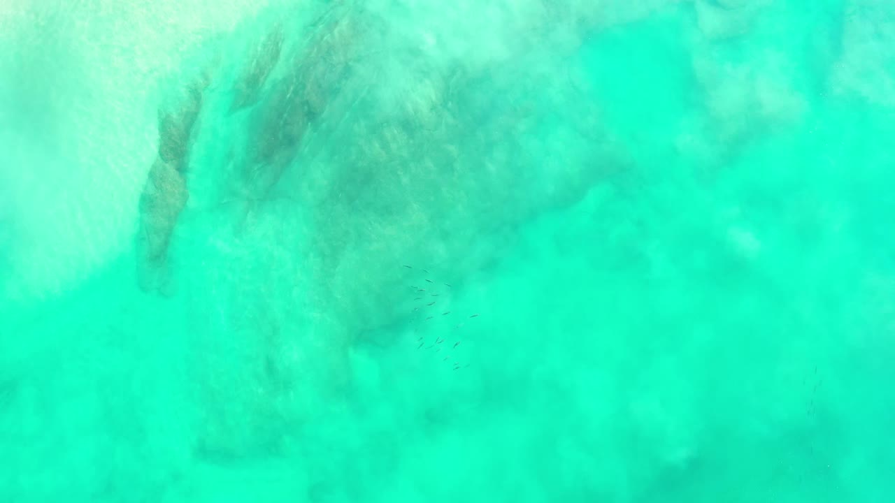 Overhead green ocean water with a dark underwater formation and small fish