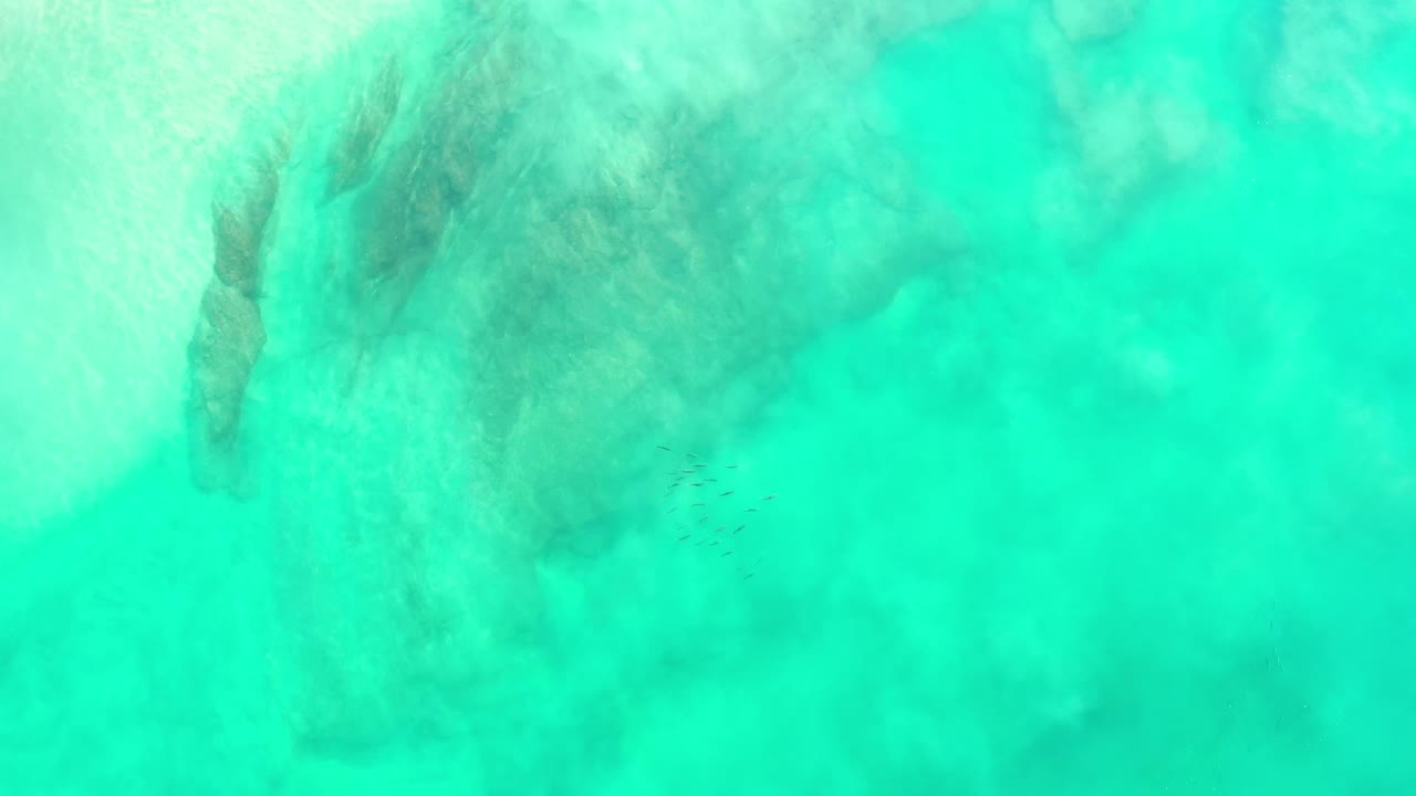 Overhead Los Cabos water frame with the dark submerged formation shifted across the left side and tiny fish visible below the center, no visible people.