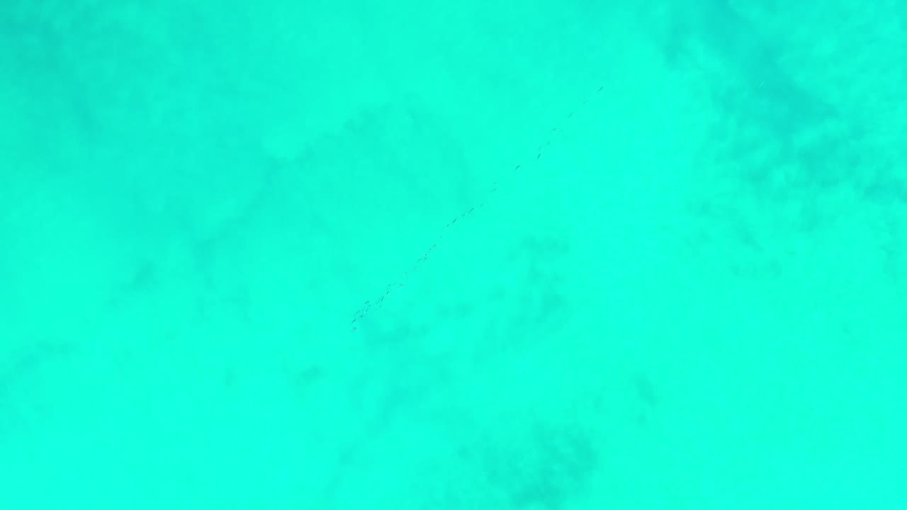 Turquoise seawater fills the frame with faint darker patches beneath the surface.