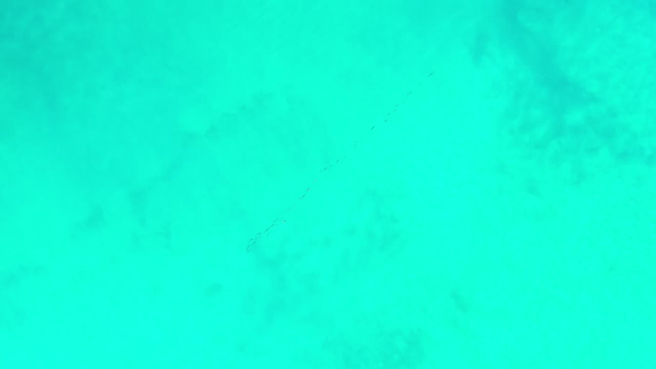 Green-blue seawater in Los Cabos fills the frame at 0:01, with diffuse darker areas under the surface and no visible people.