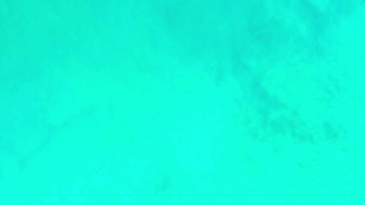 Bright green ocean surface in Los Cabos, Mexico, seen from above with soft tonal variation and no visible people.