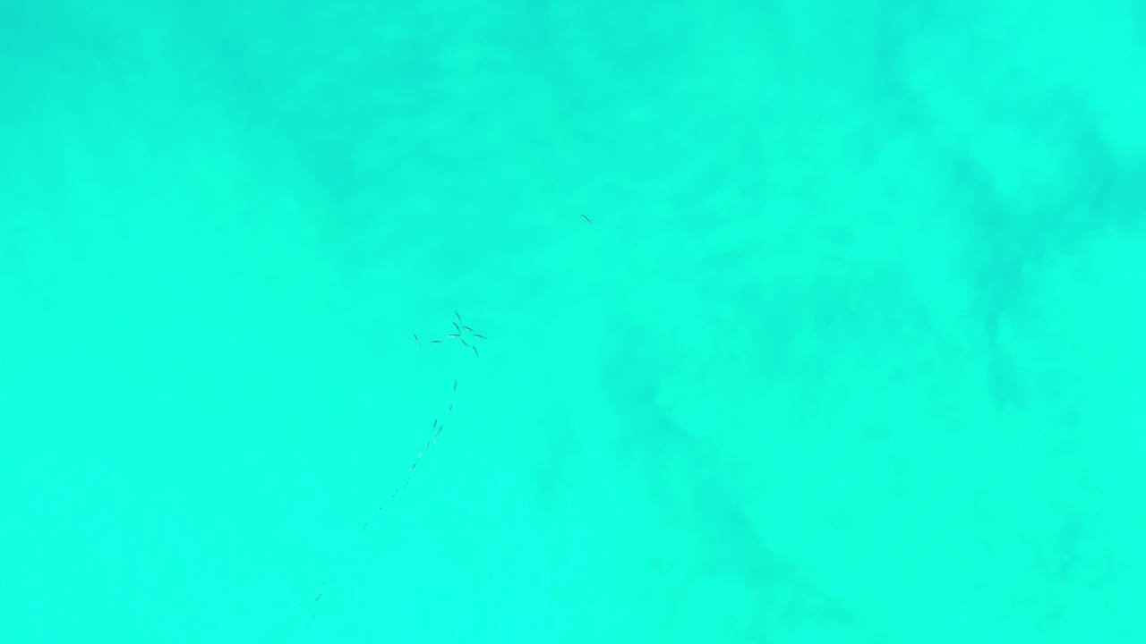 Overhead view of turquoise-green ocean water in Los Cabos, Mexico, with faint darker patches below the surface and no clearly visible person in this opening frame.