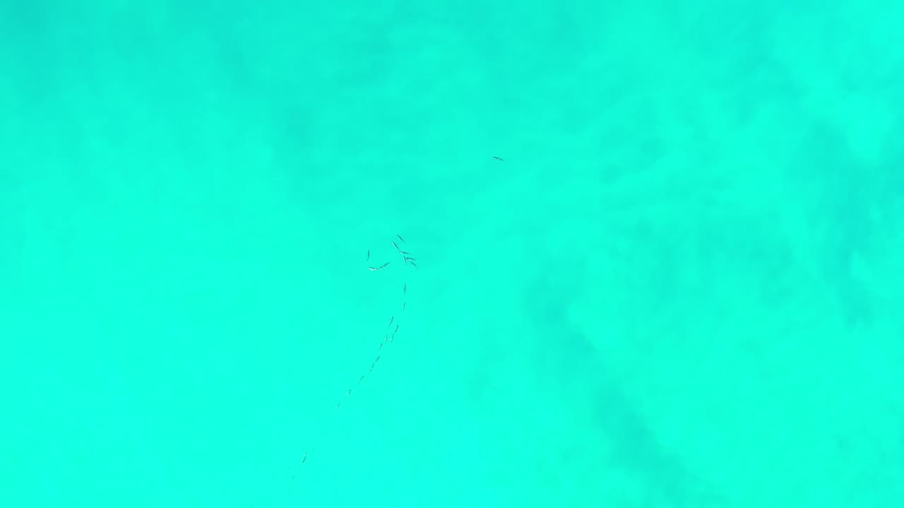 Bright green-blue sea surface with a tiny dark mark near the upper area.