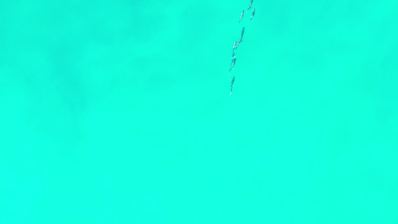 Aerial view of bright aquamarine water in Los Cabos, Mexico, with a narrow dark fish grouping near the upper center and no visible people.