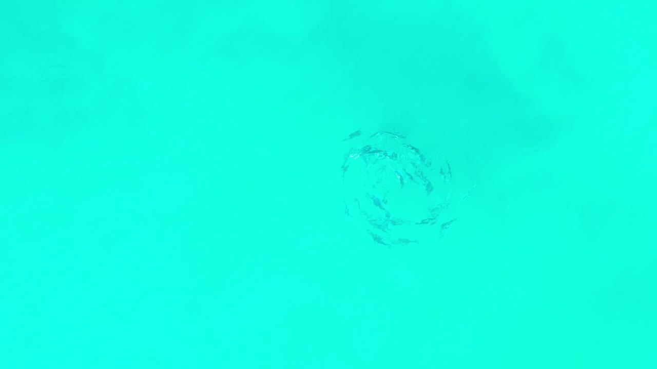 Teal liquid surface with a faint circular ripple near the upper left.