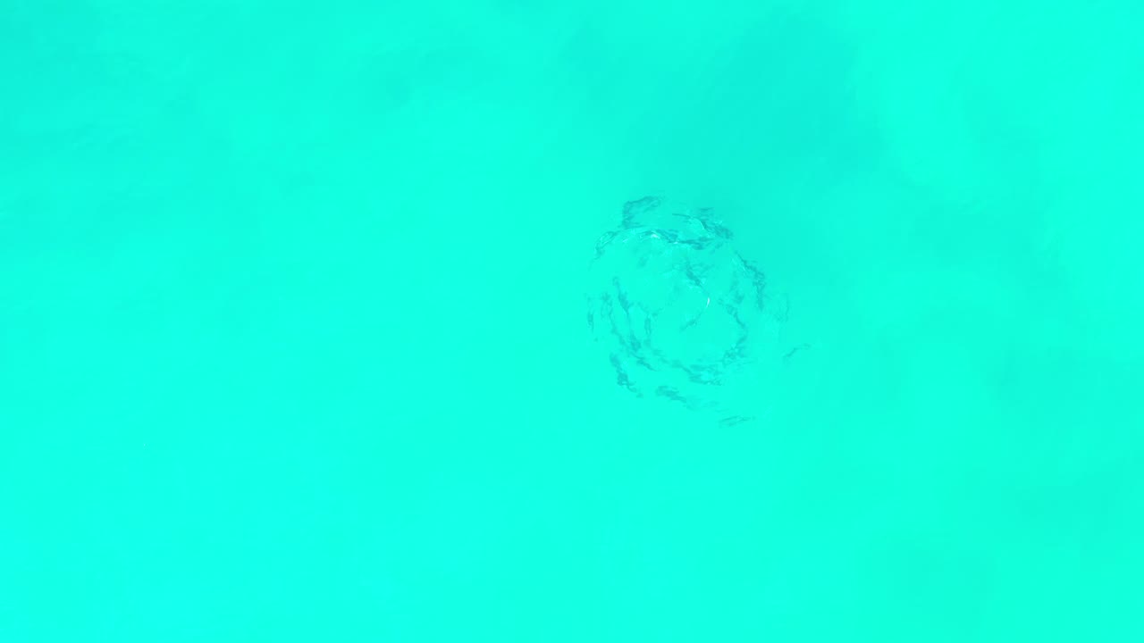 Bright teal liquid surface from Los Cabos, Mexico, with a soft circular ripple near the upper center and no visible people.
