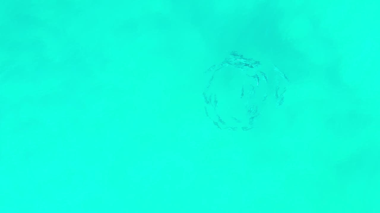 Blue-green ocean water in Los Cabos, Mexico, with the fish swirl faintly centered under the surface and no visible people.