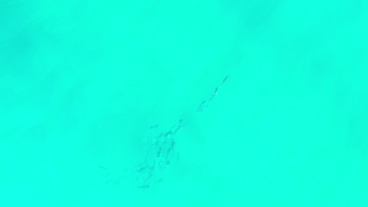 Turquoise water with a faint dark fish line near the left side.