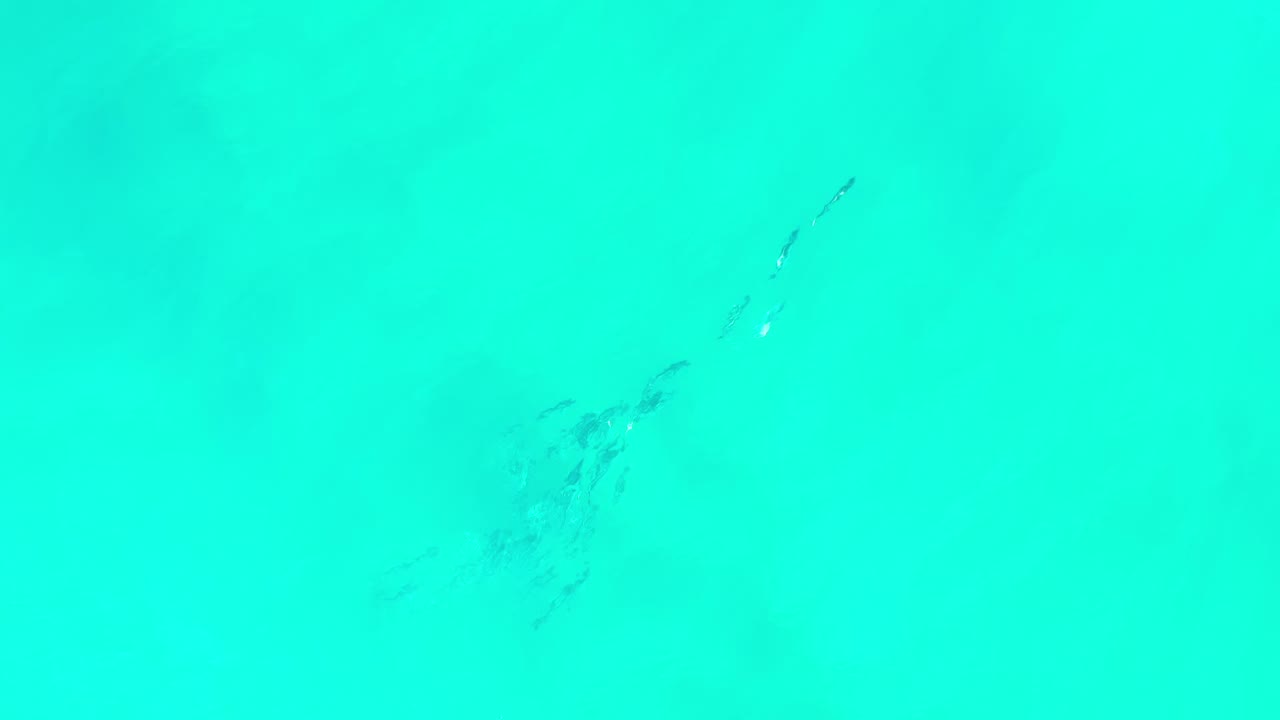 Clear aqua water in Los Cabos, Mexico, with a small dark fish formation nearer the center-left area and no visible people.