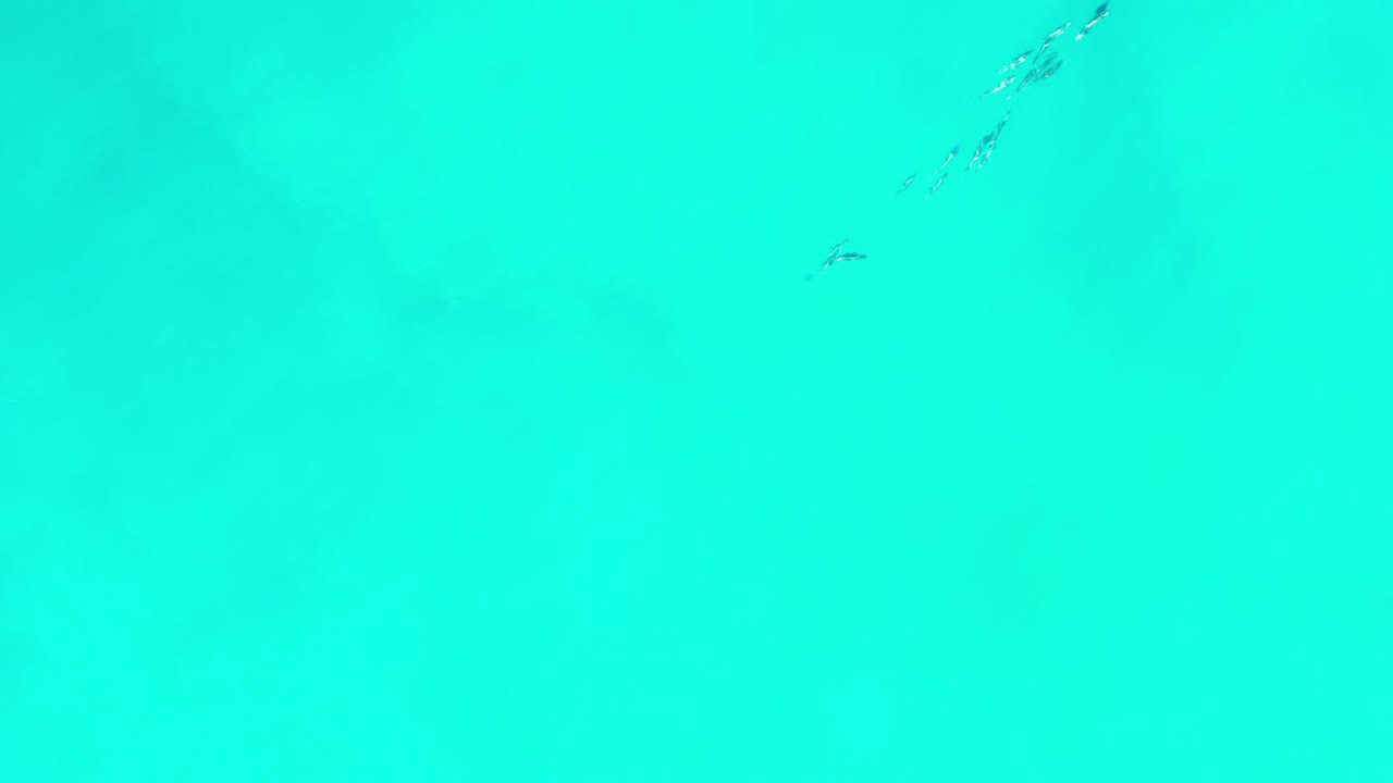 Overhead Los Cabos ocean frame with bright turquoise water, scattered small ripple marks, and no visible people or boats.
