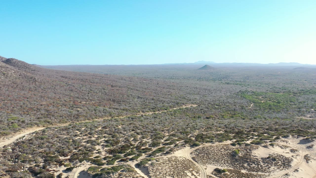 Aerial view in Los Cabos, Mexico looking over pale sandy scrubland, a faint dirt track, distant low hills, and blue sky, with no visible people.