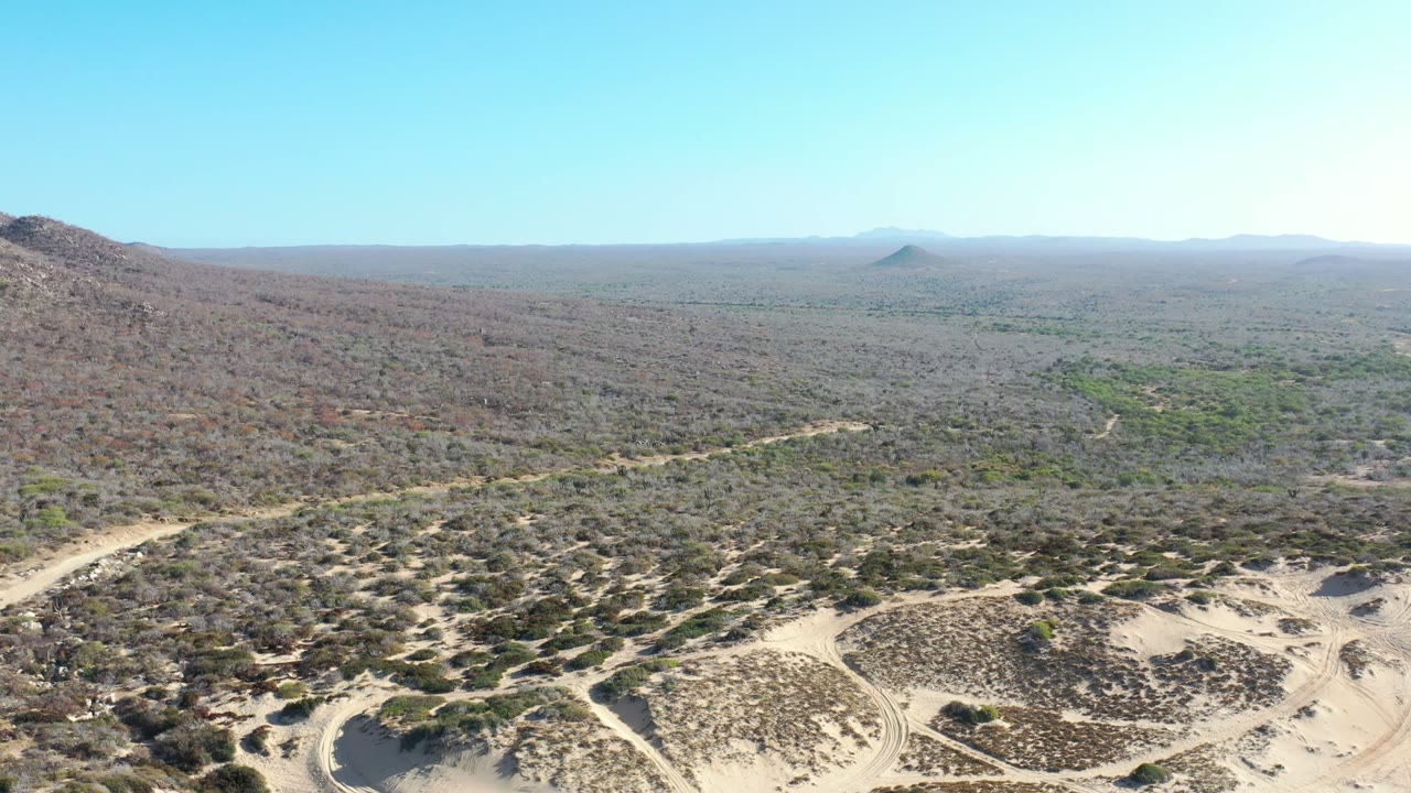 Elevated Los Cabos, Mexico frame showing dry brush, pale sand tracks across the foreground, low hills at the left edge, and a clear blue sky, with no visible people.