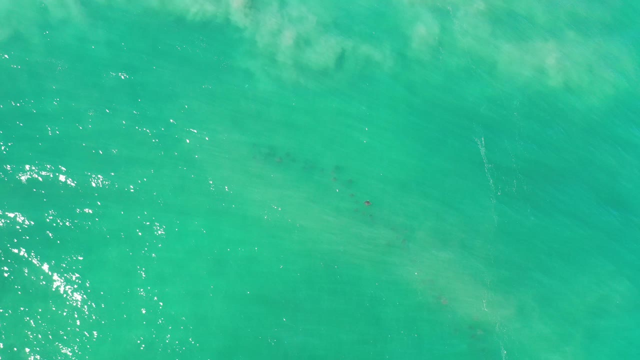 Top-down view of turquoise-green ocean in Los Cabos, Mexico, with faint dark fish shapes under the surface, pale water texture, and no visible people.