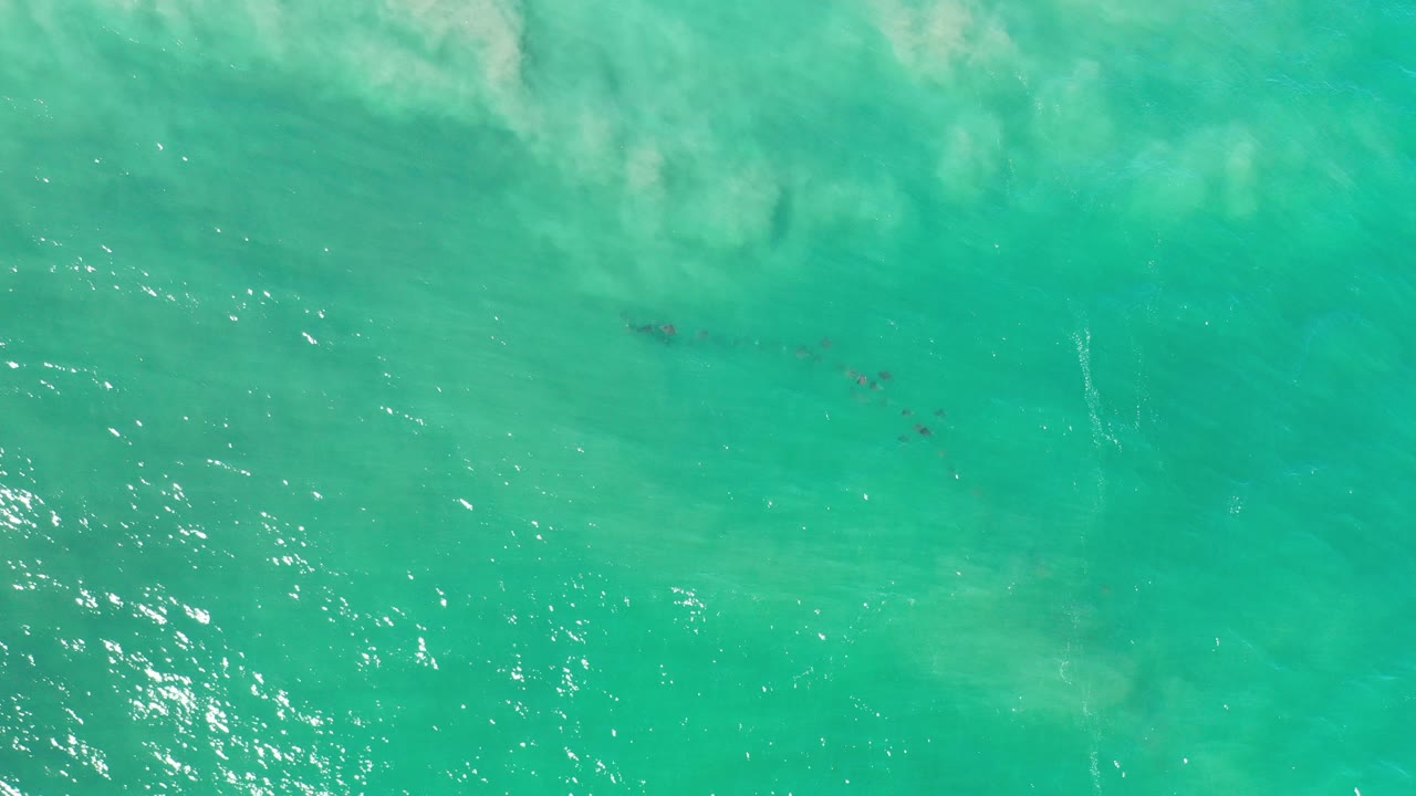 Overhead view of turquoise-green ocean in Los Cabos, Mexico, with pale surf wash near the upper edge, bright surface reflections on the left, and no visible people.