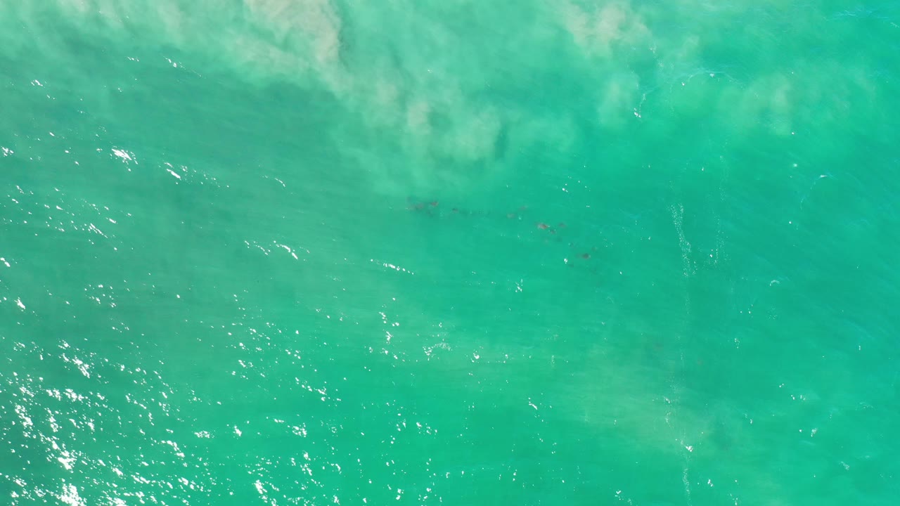 Top-down turquoise water with clustered sun sparkle and light surf.