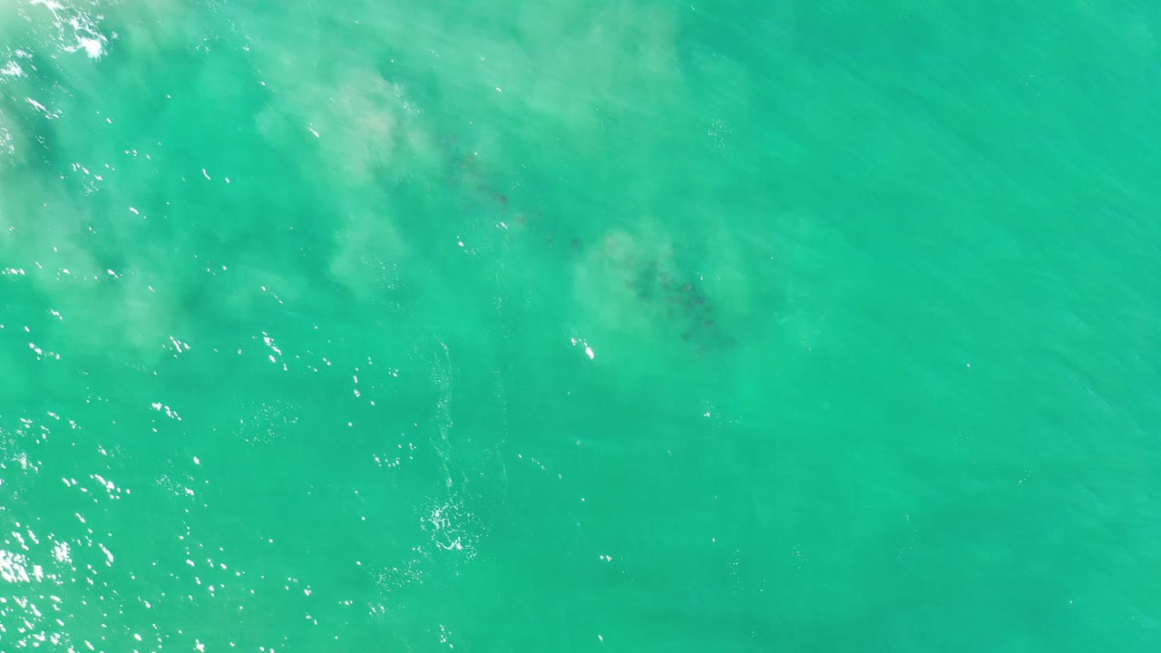 Overhead view of clear green ocean water in Los Cabos, Mexico, with pale sand visible beneath the surface and no visible people.