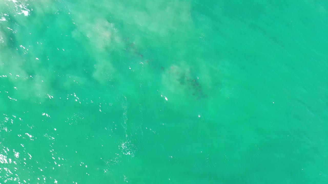 Overhead Los Cabos water frame with cloudy pale sand shapes under green water, scattered sun reflections, and no visible people.