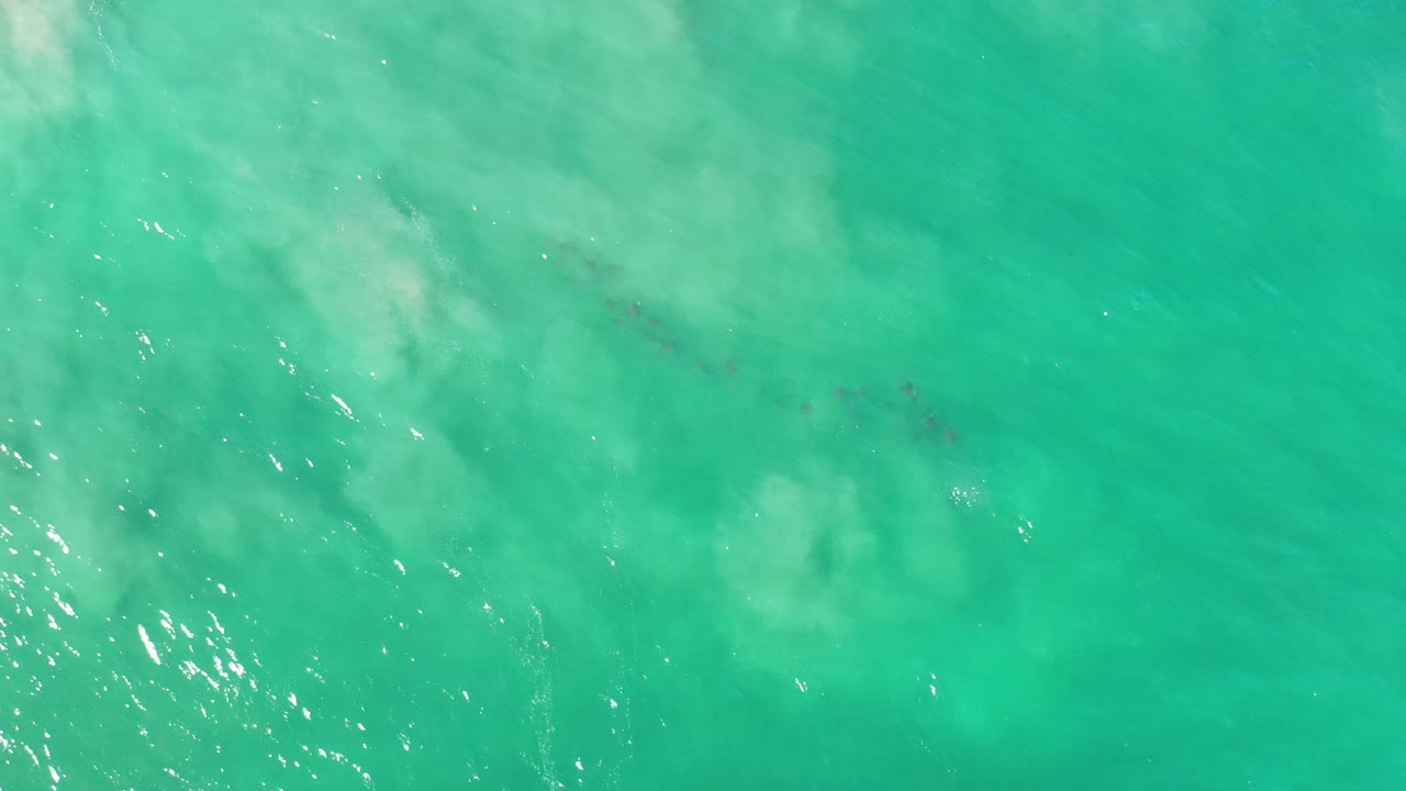Overhead view of green seawater in Los Cabos, Mexico, with pale sandy clouding, small surface glints, and no visible people.