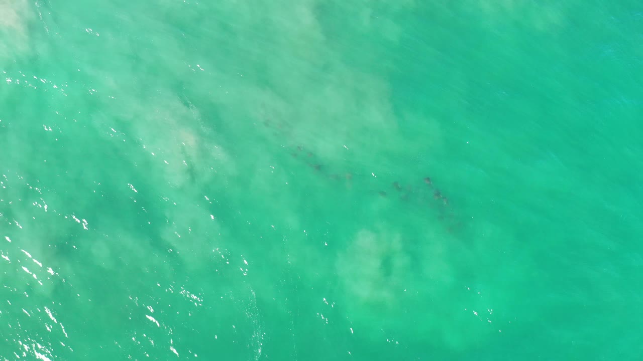 Green ocean surface with sunlight sparkles and a faint dark form near the center.