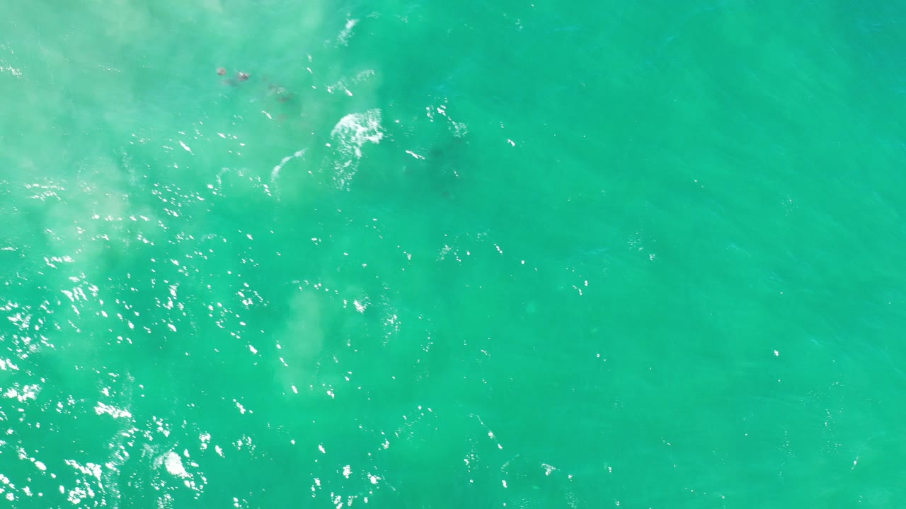 Overhead view of green water in Los Cabos, Mexico, with scattered sun reflections, pale underwater clouding, faint dark fish-like shapes near the upper edge, and no visible people.