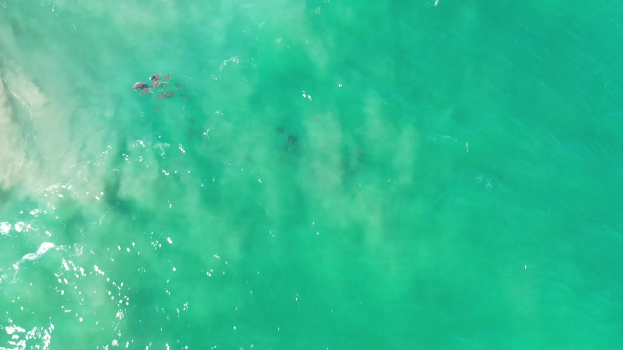 Overhead view of green-blue seawater in Los Cabos, Mexico, with pale foam drifting in from the left and no visible people.