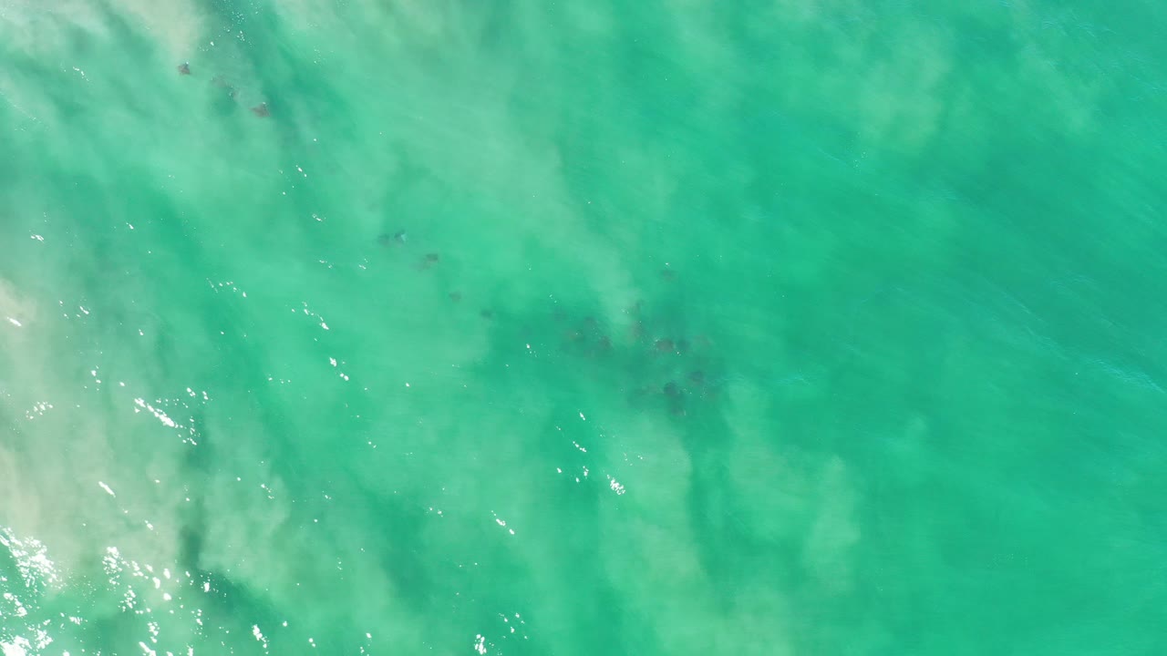 Overhead view of translucent green water in Los Cabos with faint dark fish shapes under the surface, pale cloudy water texture, and no visible people.