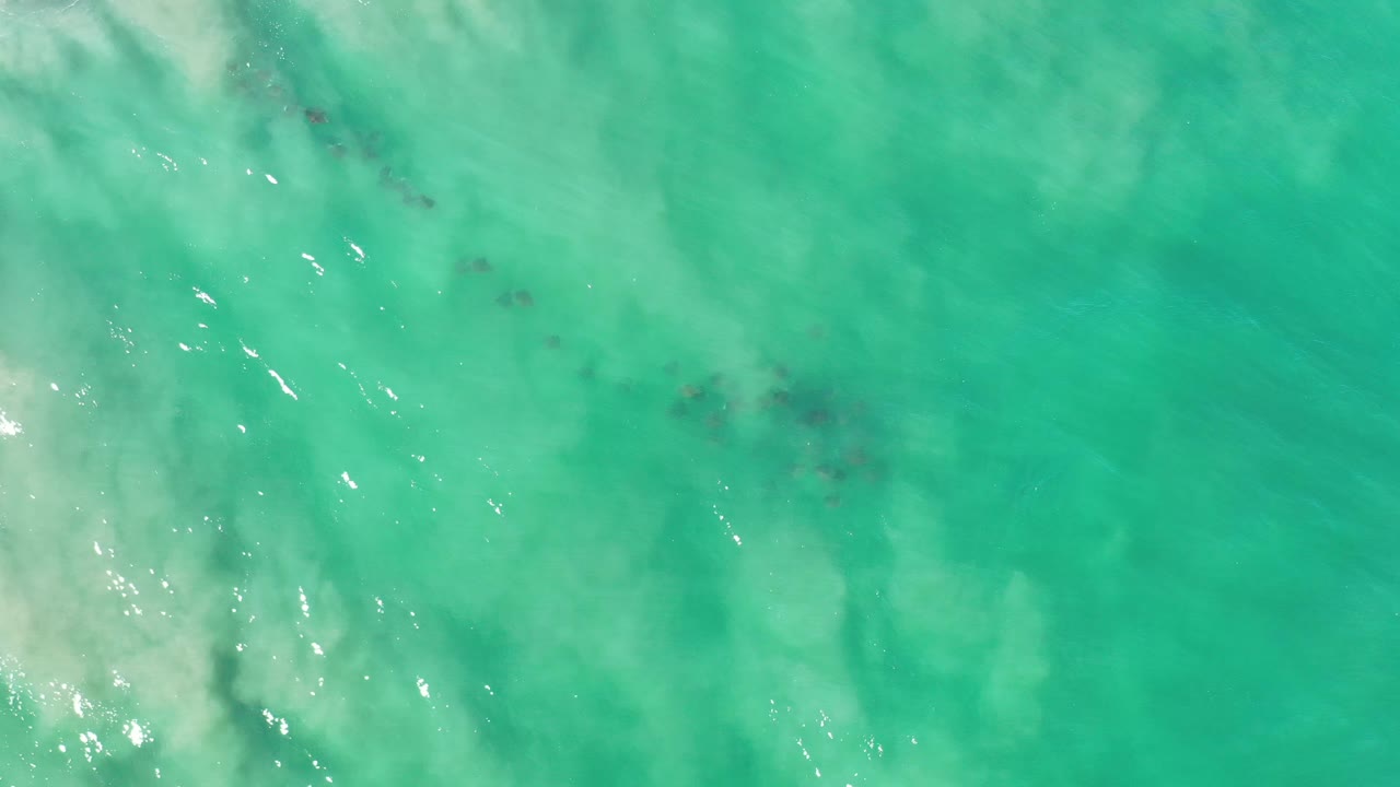 Turquoise ocean surface with darker fish cluster beneath ripples