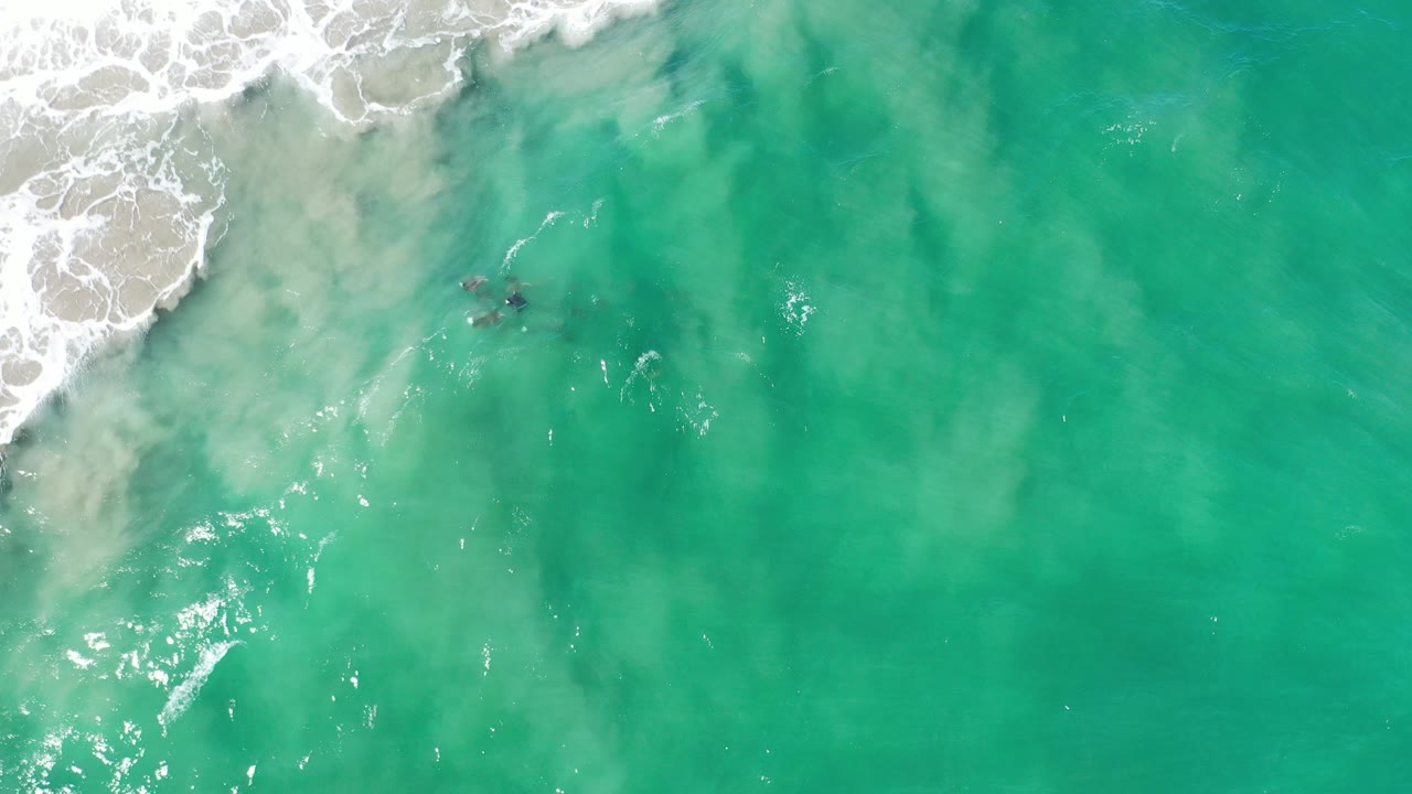 Overhead frame from Los Cabos, Mexico showing a small dark turtle hatchling in shallow emerald water below white surf, with tan sand clouding the upper left and no visible people.