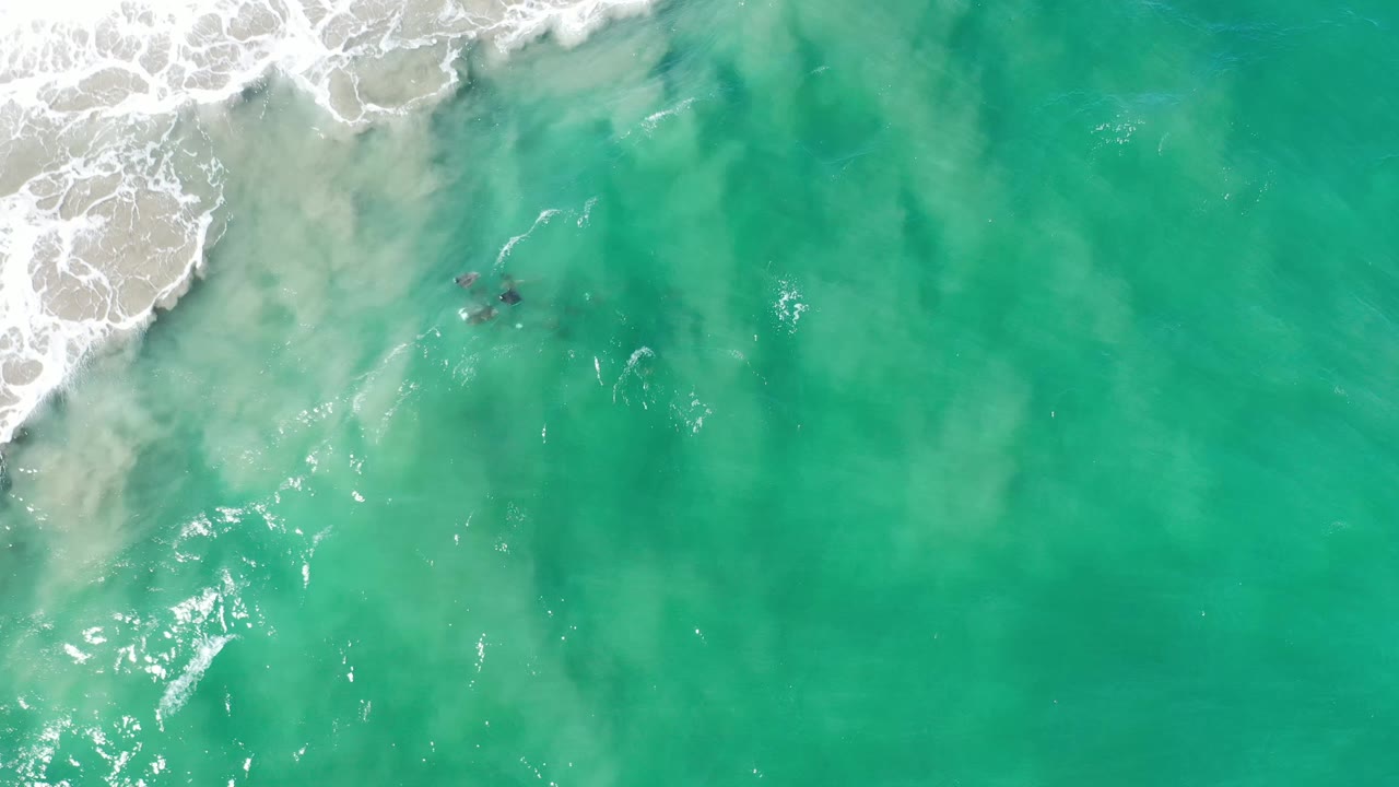 Overhead Los Cabos, Mexico view with the turtle hatchling still near the foamy shore wash, surrounded by pale suspended sand and clear turquoise water, no visible people.