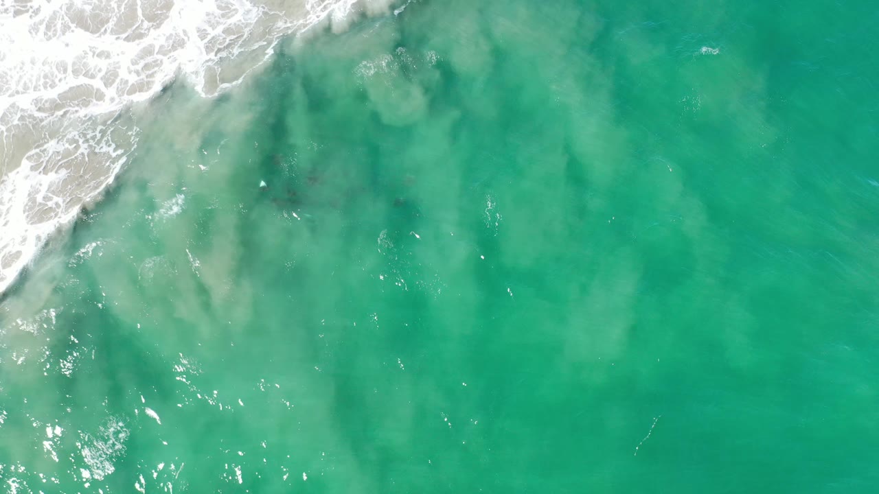 Turquoise water and white surf with the turtle hatchling barely visible near the upper center.