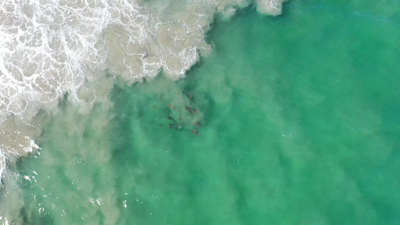 Aerial shoreline texture with surf foam and clear green water.