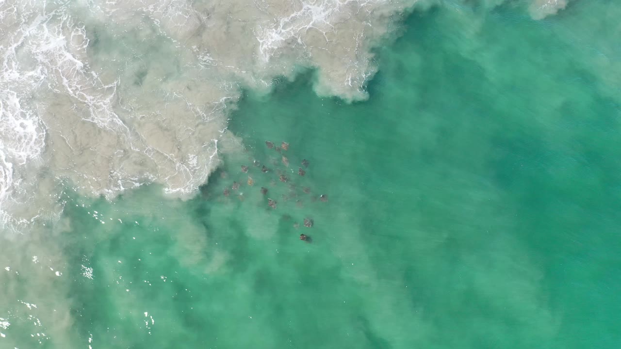 Top-down Los Cabos water view with foamy surf across the upper edge, clear green-blue shallows, and small dark submerged patches near center, no visible people.