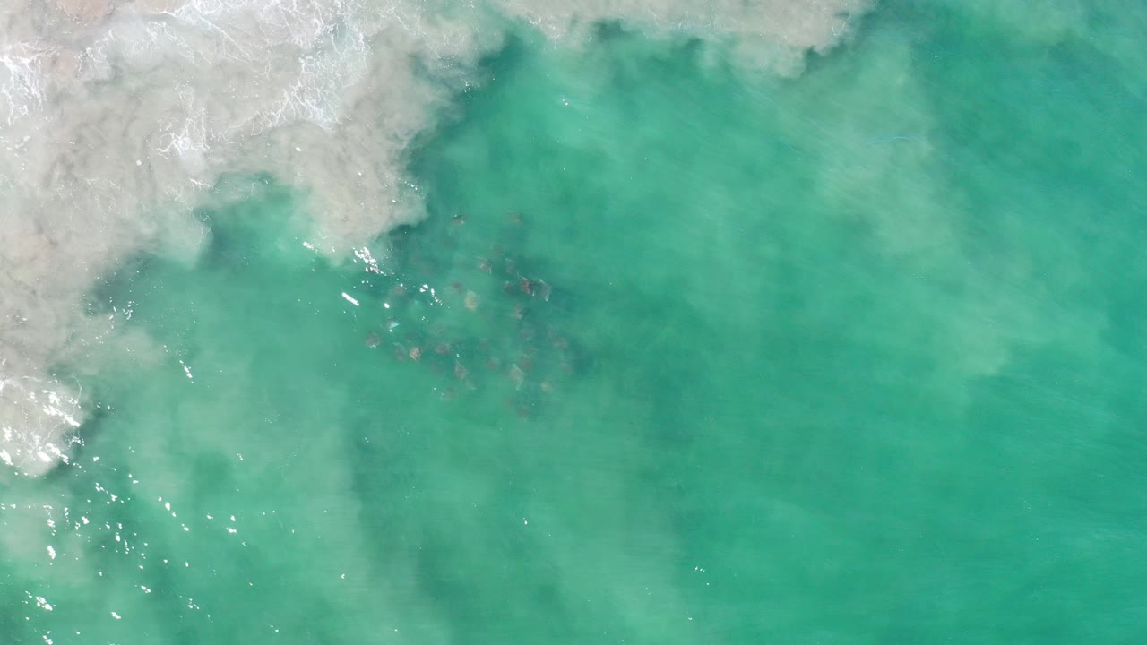 Overhead view in Los Cabos, Mexico, with pale surf foam at the upper left, turquoise water, small sun glints, and dark fish visible below the surface, no visible people.