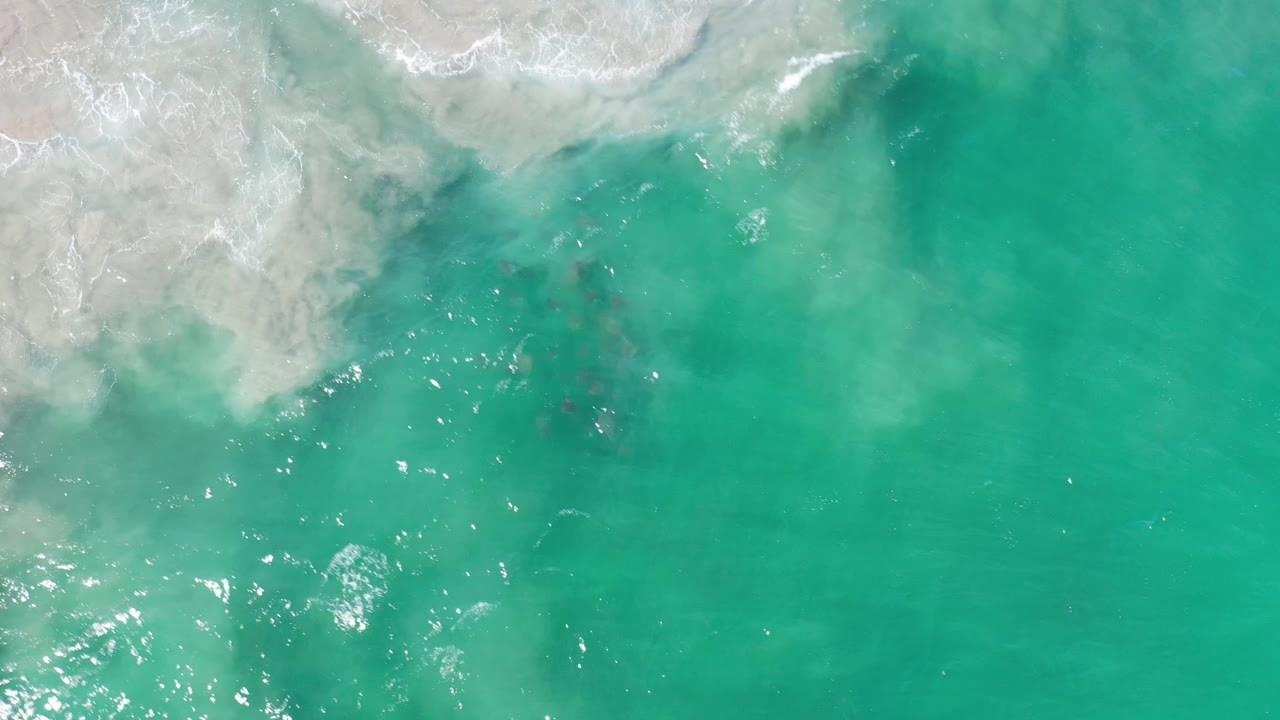 Aerial frame over Los Cabos green sea where foam spreads from the sandy upper edge and bright reflections scatter across the water, with no visible people.