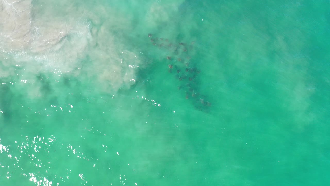 Turquoise shallow water with pale surf and a dark fish school below the surface.