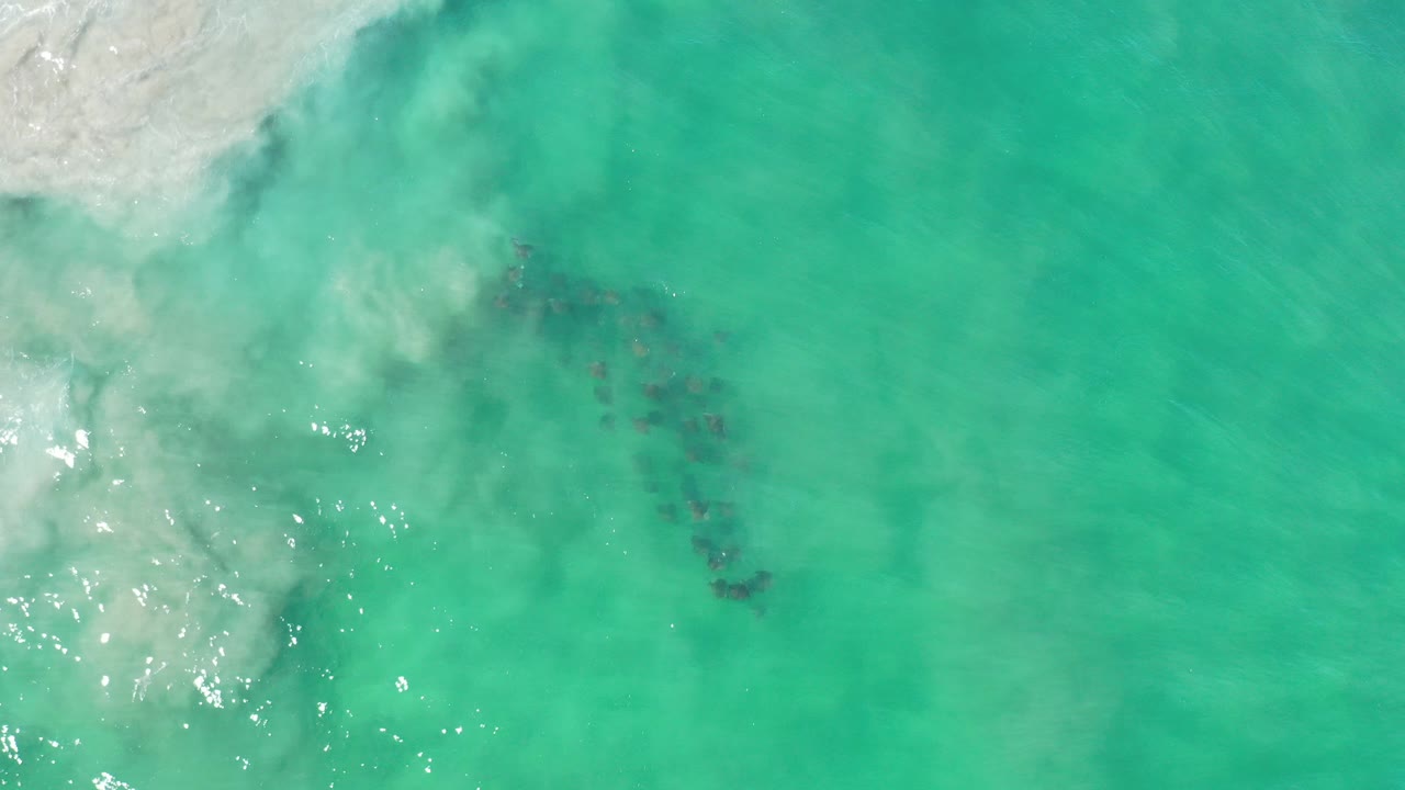 Straight-down view of green water and loose sand in Los Cabos, Mexico, with white foam at the upper left, dark submerged patches near center, sun glints on the lower left, and no visible people.