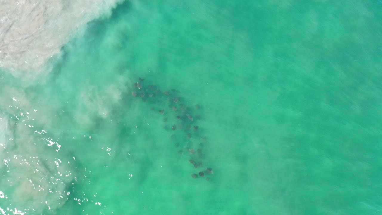 Aerial view of green beach water with foam and dark marks under the surface.