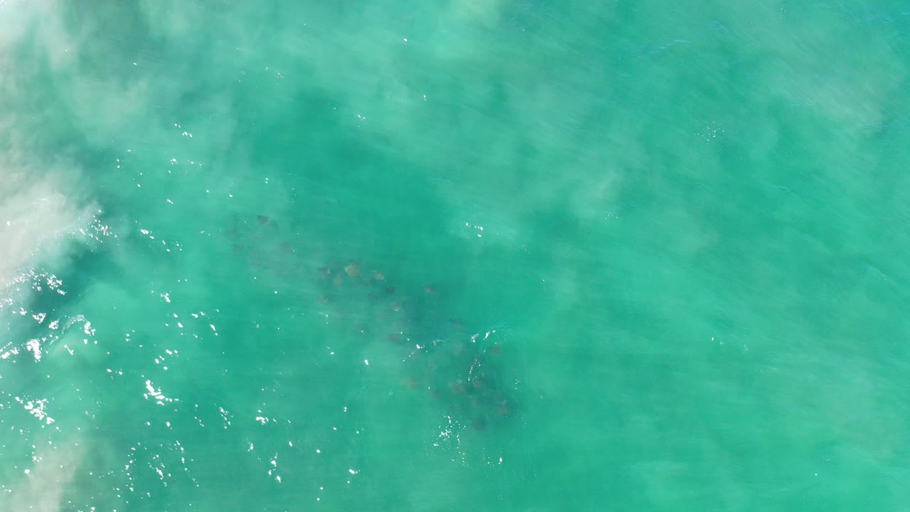 Overhead view in Los Cabos, Mexico of turquoise green water with a faint whale shape below the surface, white foam at the left edge, and no visible people.