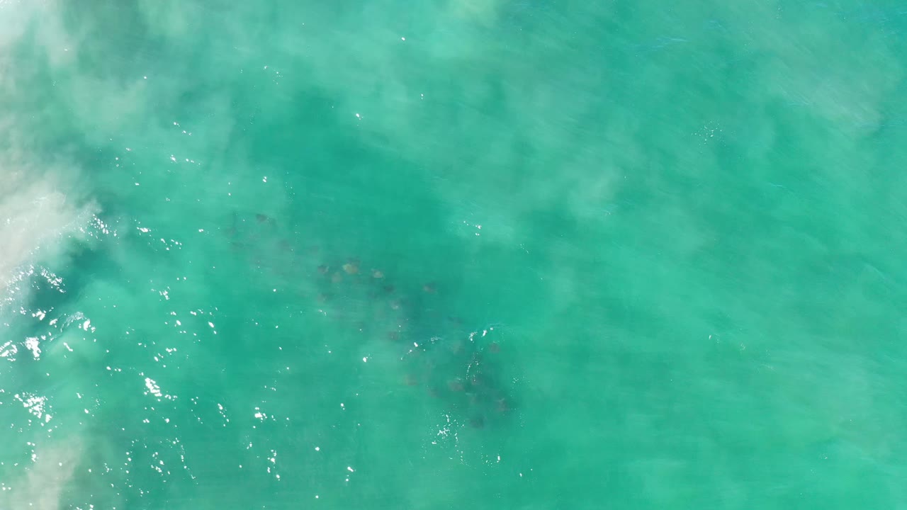 Overhead Los Cabos frame with the whale still faint beneath green water, soft cloudy surface texture, bright glare on the left, and no visible people.