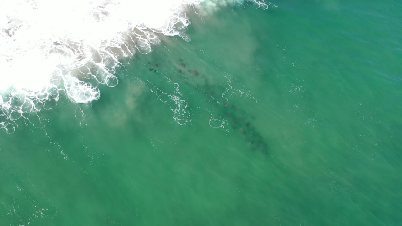 Overhead view in Los Cabos, Mexico, showing white surf across the upper left, emerald water, dark submerged kelp patches, and no visible people.
