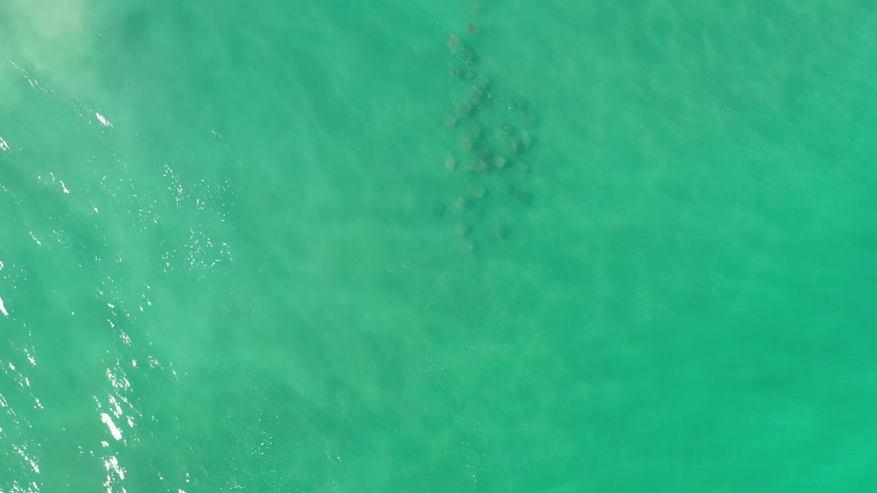 Bright green-blue ocean surface in Los Cabos, Mexico, seen from above with scattered sunlight reflections and no visible people.
