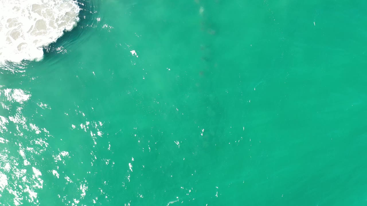 Top-down Los Cabos ocean frame with bright green water, scattered sunlight reflections, white foam at the upper left, and no visible people.